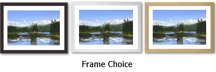 Frame Choice Frame Choice